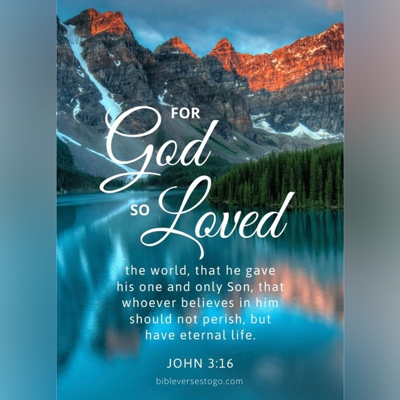 Meet your Posher, Sharon - Picture 3 of 7